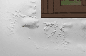 Ways To Check For Hidden Plumbing Leaks In Walls El Cajon