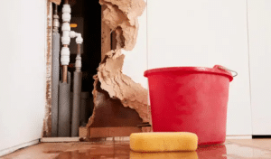 5 Tips To Claim Water Leak Insurance In El Cajon